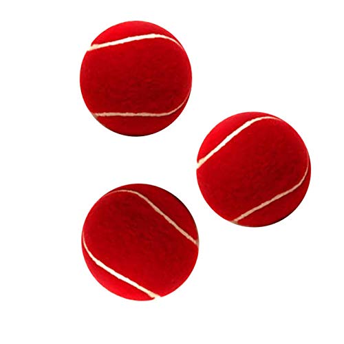 Gmefvr Rubber Tennis/Cricket Ball (Red) Standard Size (B08Y56FSLZ) Amazon Price History, Amazon Price Tracker