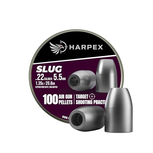Harpex Slug Hollow Point .22 Cal billes fusil à air 20.8 Grain - 100 count