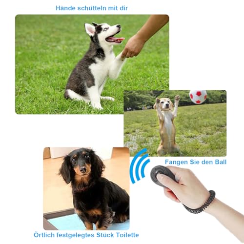 Diyife Hunde Clicker, Trainings-Clicker mit Großem Knopf und Handschlaufe, Klicker Set für Hundeerziehung und Hundetraining, für Hund, Katze, Pferd (3 Stück, Schwarz)
