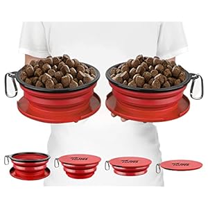 Large Travel Bowls for Pets
