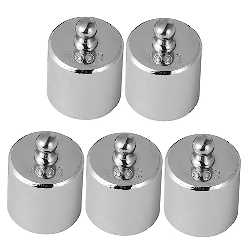 COSMEVIVI 100 Gram Wights Calibration Weights Digital Scale Supplies Balance Weights for Scale Calibration