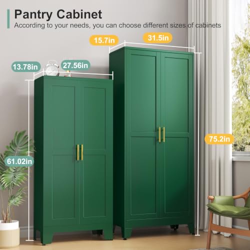 Image of winiowa Metal Pantry Cabinet with 2 Doors and 5 Adjustable Shelves