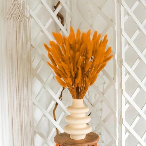 Miniatura 7 de Minnhua 120 Pcs Ramo De Hierba De Pampas Seca,Flores Secas De Cola De Conejo,Pampas Secas Decoracion,Hierba De Pampas Naranja,Flores Secas Naturales Decoracion,Decoración De Mesa Boho,Bodas, Hogar