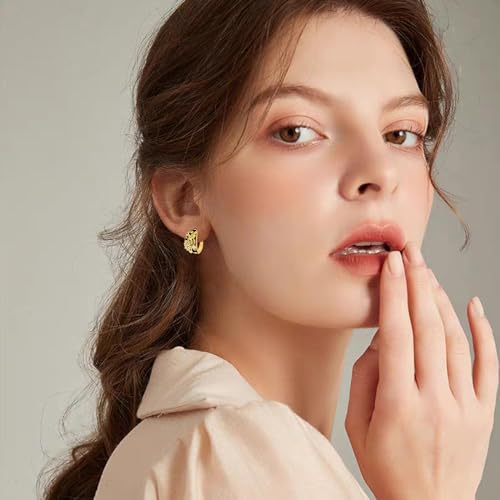 Black Hoop Earrings Sterling Silver and Gold Plated Small Dragonfly/Hummingbird/Butterfly/Bee Earrings Hoops Jewelry Gifts for Women Girls2