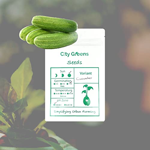 City Greens Plant Seeds For Home Gardening | Cucumber (Kheera) | Vegetable Seeds for Home Garden – Total 50 Seeds in a Pack.