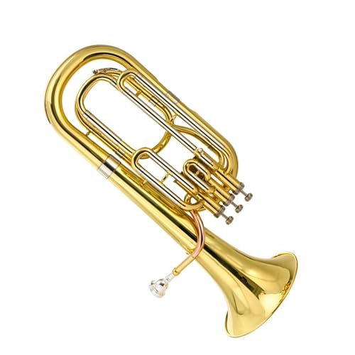 BtbgX[ X^hL[ [tHjA vtx [tHjA P[Xt SҌ[tHjA