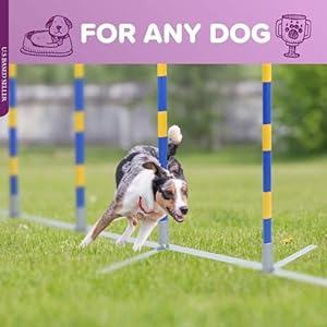 MiMu Dog Agility Equipment - Agility Set Dog Weaving Poles Dog Obstacle Course, Training Equipment, Competition Grade MiMu Dog Agility Equipment Agility Set Dog Weaving Poles Dog Obstacle Course Training Equipment Competition Grade