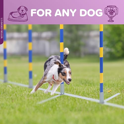 MiMu-Dog-Agility-Equipment-Agility-Set-Dog-Weaving-Poles-Dog-Obstacle-Course-Training-Equipment-Competition-Grade MiMu Dog Agility Equipment Agility Set Dog Weaving Poles Dog Obstacle Course Training Equipment Competition Grade