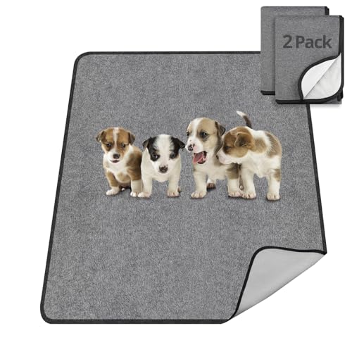 TAIKURA 2 Pezzi Tappetini Assorbenti per Cani,Tappetini Igienici per Cani Lavabili,Antiscivolo, Riutilizzabile,Tappetino da Allenamento per Cuccioli,80x92 cm