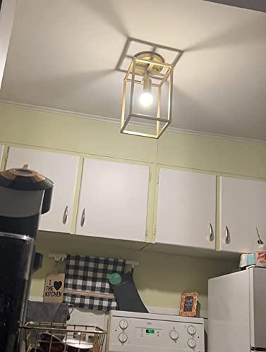 Modern Gold Pendant Light, Retro Industrial Loft Design, Farmhouse Industrial Cage Hanging Light For Kitchen Island, Dining Room, Entryway, Foyer #TOP6