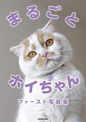 無料電子書籍 pdf 「ねこ休み展」スピンオフ公認! まるごとホイちゃん ファースト写真集 バイ