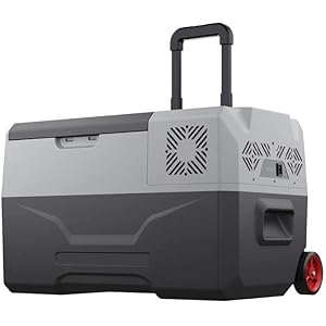 Nevera-congelador para coche con ruedas 30L 220v 12v Nevera para coche Nevera para coche Camping