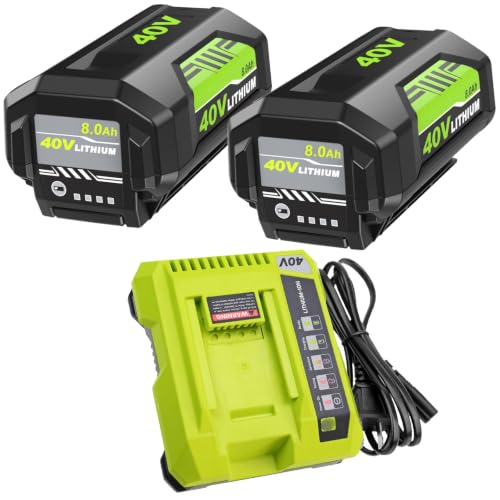 Image of 2Pack 8.0Ah Replacement for Ryobi 40V Battery with Charger OP401