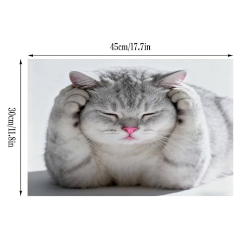 Set de table Chat dans une Boule lavable pour maison et bureau - 3