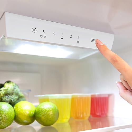 Cecotec Réfrigérateur 262 Bolero CoolMarket Combi 262 E Classe E Économie d'énergie Lumière LED Plateaux en verre Contrôle électronique de la température. - vue 6