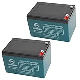 12V 12Ah 6-DZM-12 Battery Rechargeable Maintenance Free SLA AGM Batteries for Motorcycles Electric Scooter e-Bike ATV Go Kart Pit Dirt Bike Go kart Moped (2 Pack)
