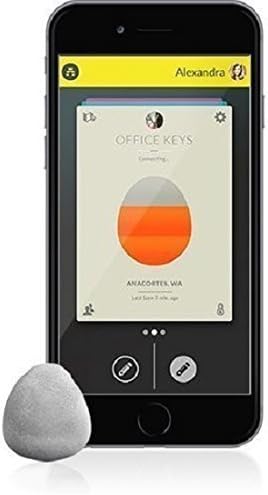 The Stone - A Button To Find Your Phone, Text Eta, Emergency Call and Control Your Camera - Cascade