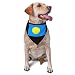 Palau Flag Triangle Dog Bandana Scarf Accessories for Pet Bibs