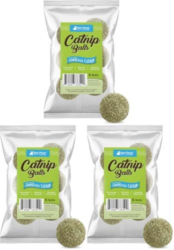 Image of Raw Paws Catnip Balls for Cats (6-Count) - Interactive Indoor Cat Toy (Pack of 3)