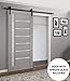 SARTODOORS Slab Barn Door Panel Frosted Glass 42 x 80 inches | Quadro 4088 Grey Ash | Sturdy Finished Doors | Pocket Closet Sliding