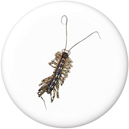 Amazon 昆虫缶バッジ ゲジ 小さいサイズ 32mm マグネット 磁石 タイプ バッジ おもちゃ