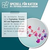 ReaVET Relax Liquid für Katzen 50ml - Beruhigung mit Baldrian, L-Tryptophan, Vitamin B12 & Melisse I Beruhigungstropfen bei Silvester, auf Reisen & Autofahrt