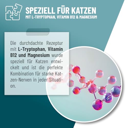 ReaVET Relax Liquid für Katzen 50ml - Beruhigung mit Baldrian, L-Tryptophan, Vitamin B12 & Melisse I Beruhigungstropfen bei Silvester, auf Reisen & Autofahrt