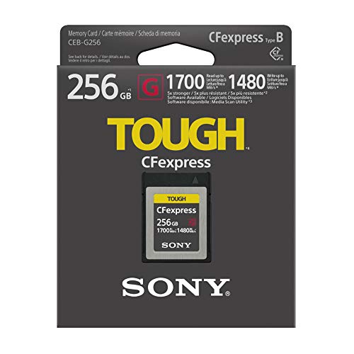 Sony 256Gb Tough Ceb-G Series Cfexpress Type B Memory Card Bundle With Sony Mrwg1T Cfe-B/Xqd Memory Card Reader And 3.0 4 Port Usb Hub (3 Items) #TOP4