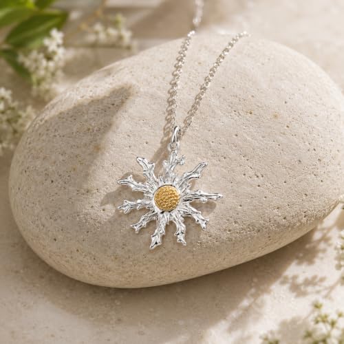 Pendentif Eguzilore bicolore en argent et or, cadeau fleur basque idéal