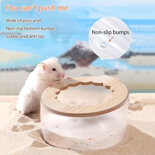 Marchul Badzubehör und Sandlöffel für Kleintiere für Mäuse, Igel, Rennmäuse