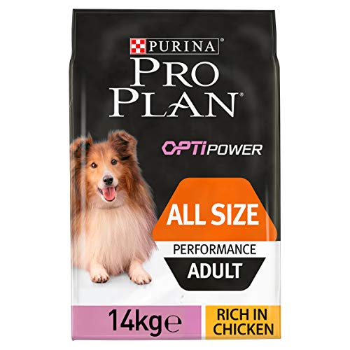 Pro Plan Hond Adult Performance hondenbrokken Rijk aan Kip - hondenvoer speciaal voor werkhonden/veel fysieke inspanning 14kg, 1 pak