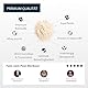 brandl® Protein-Pulver All-in-One nach dem Training | 5K-Protein-Mix, Kreatin, Ashwagandha, Magnesium, Probiotika & 10+ Superfoods | 1000g Banane