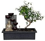 Alle ZynesFlora Bonsai pflanzen sind frisch aus dem Gewächshaus und werden direkt zu Ihnen nach Hause geliefert. Unsere Spezialverpackung haben wir nämlich so entwickeln lassen, dass die Chance der Beschädigungen so klein wie möglich ist.