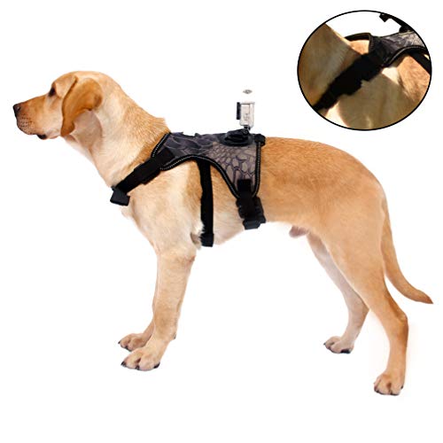 Balacoo Fetch Harness Cremalheira Câmera- Câmera Arnês Do Cão Prático Stylish Dog Fetch Harness Band