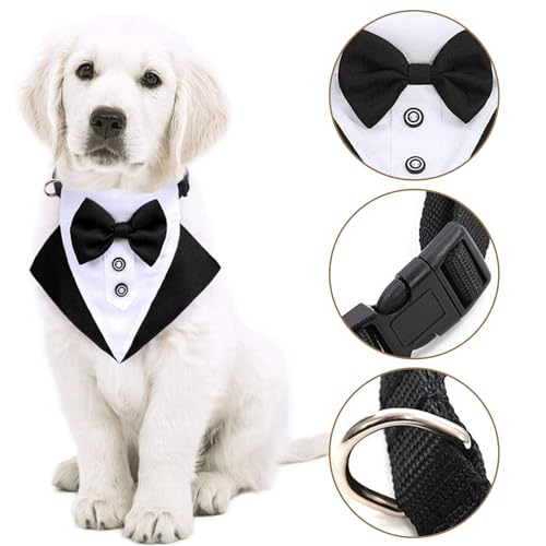 Juguetes Para Perro, Toy Imagen adicional