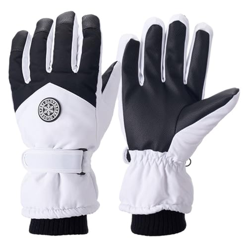  h fB[X h fB[X ~ O[u h h g  fB[X hO[u p h g  ~ H 킢  ʋ ʊw  ~ߕt H~ (zCg,Free Size)