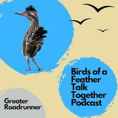 53: Greater Roadrunner - Adaptations to Live In the Desert, How Fast Are They? Podcast Por  arte de portada