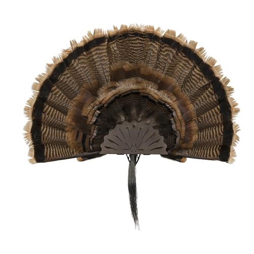 Allen Company EZ Mount Turkey Fan Display, Brown