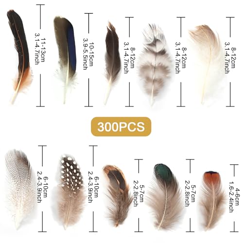 MWOOT 300 Stück Federn zum Basteln, 10 Stile Natürliche Gemischte Deko Bastelfedern für DIY Traumfänger Ohrringe Hüte Maske Ostern Karneval Halloween Deko