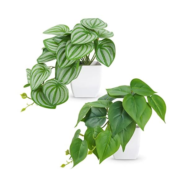Der Rose 2 Packs Small Fake Plants Artificial Plants for Home Bedroom Aesthetic Living Room Bathroom Farmhouse Decor Indoor