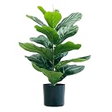Decoración de plantas artificiales de estilo natural, se puede colocar en interiores o exteriores.Nuestros árboles están perfectamente emparejados con cualquier tema decorativo, mostrando frescura y elegancia.Trae un toque de naturalidad a su escritorio, mesa de centro, terraza, etc.