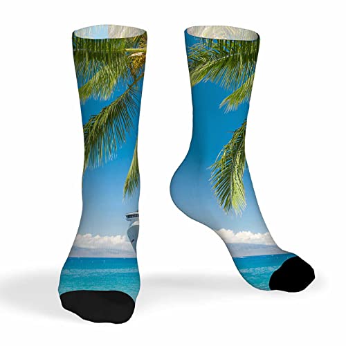 Pehede Socks Tropical Beach Athletic Crew Socks Cruise Ship Boat Blue Sea Palm Tree Paradise Romantic Island for Men Women Cool Cute Crazy Funny Sport Colorful Novelty Socks