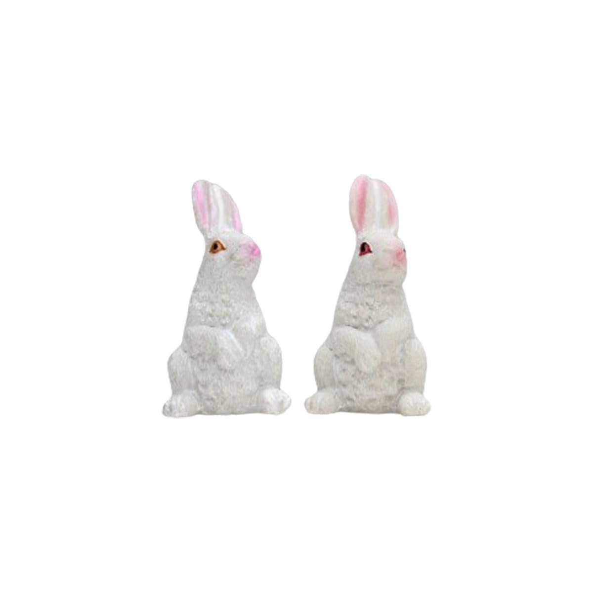 Wonderland Plastic 2 Pc/Set Bunny Set Garden/Bonsai Miniature for Landscape Decoration, Plants Showpiece (Tray Gardening, Miniature Toys, Multicolour) (B08M48RW22) Amazon Price History, Amazon Price Tracker