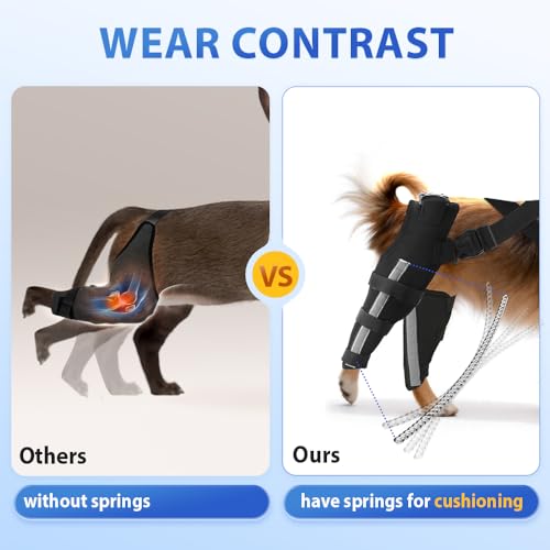 Image of Double Dog Knee Brace for Torn Acl Hind Leg(Extra Small), Double Dog Leg Braces for Back Leg for Support, Acl Brace for Dogs, Built-In Hard Metal Spring Support,Adjustable Strap,Night Reflective Strip