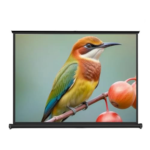 Pantalla de proyección manual portátil 50" 4:3