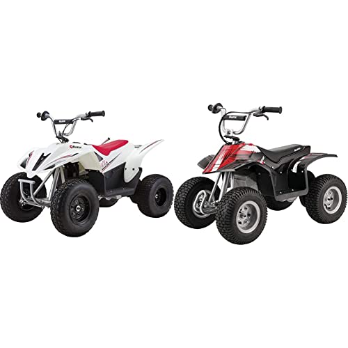 Best Four Wheeled Dirt Bike Fun For The Whole Family