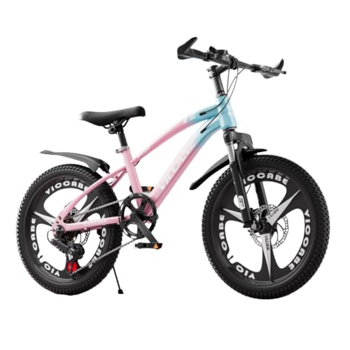 22インチ　子供用自転車 子供用 自転車 18インチ 20インチ 22インチ おしゃれ シンプル Ravi
