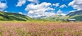 jakobradlgruber / 123rf.com adrium Cuadro AluCompuesto 90 x 40 cm: Hermoso paisaje de verano en la meseta de montaña Piano Grande Plain en los Apeninos, Castelluccio di Norcia, Umbría, Italia(46642706)