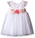 Little Me Toddler Baby Girls' Rose Lace Mesh Dress