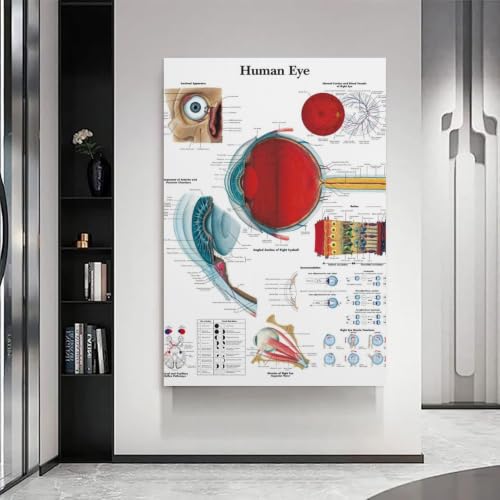 Human Eye tableau moderne - Solution décoration murale pour salon et chambre